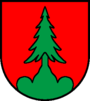 Escudo de Hüniken