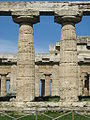 Tempio Paestum2.jpg