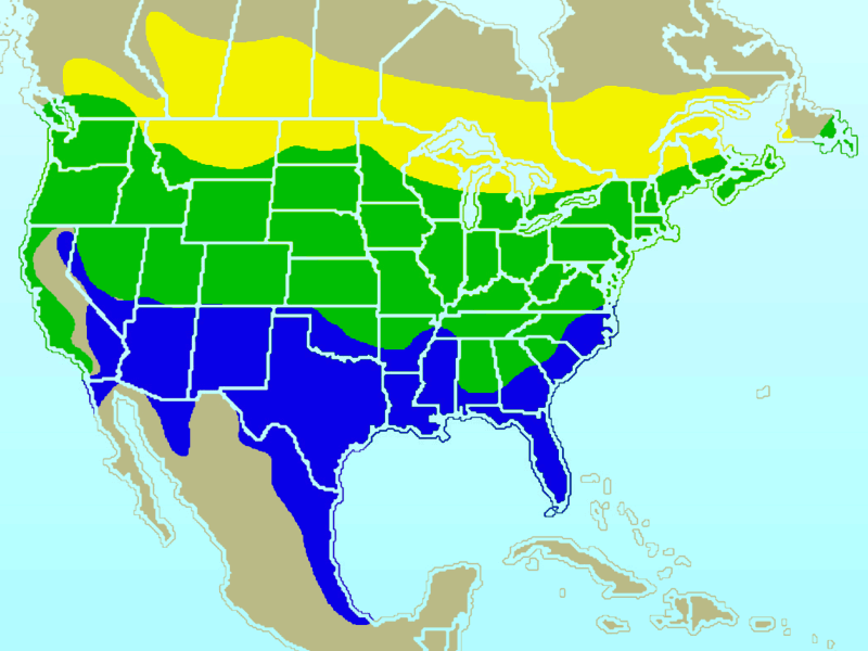 Distribución del jilguero norteamericano. Amarillo: verano solamente. Verde: a lo largo del año. Azul: invierno solamente.