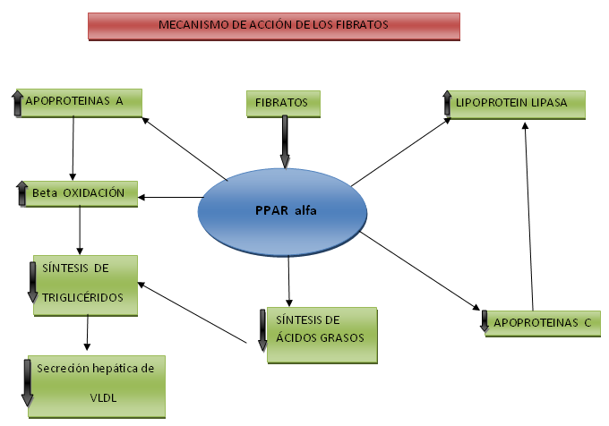 Diagrama Fibratos.PNG