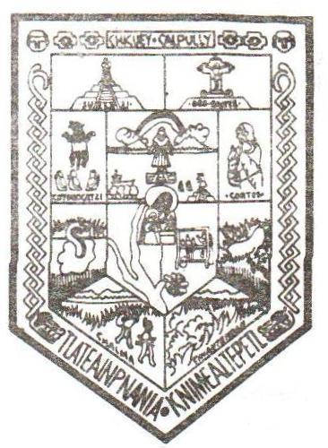 Escudo de Armas de Chiautempan.JPEG