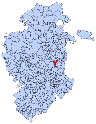Mapa municipal Rabanos.png