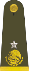 Mexican Military Gral-brigadier.gif