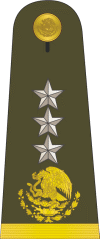 Mexican Military Gral-de-division.gif