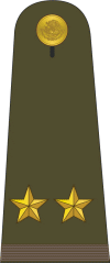 Mexican Military Teniente-coronel.gif