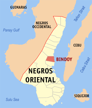 Map of Negros Oriental showing the location of Bindoy