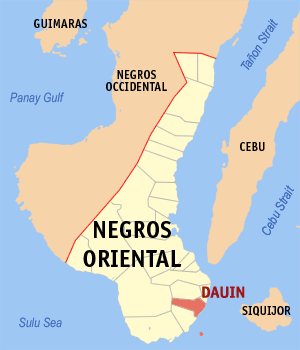 Map of Negros Oriental showing the location of Dauin.