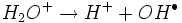  H_2O^+ \rightarrow H^+ + OH^{\bullet} 